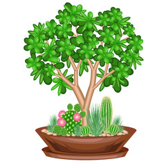 Collection of indoor plants in pots, cacti, succulents. The garden is in the bowl. Euphorbia, scarlet vera, Mammillaria. Lovely hobby for collectors. Decoration of the house. Vector illustration