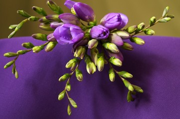 Beautiful flowers - purple freesia buds