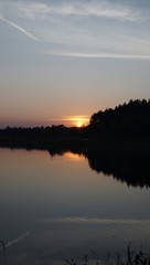 Summer landscape, pond and forest on the horizon.