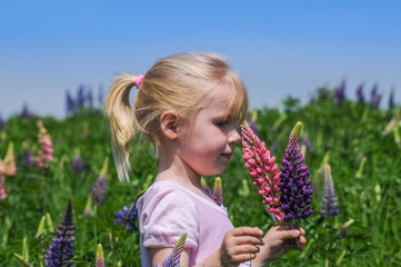 Kleines Mädchen pflückt frische Blumen auf einer Blumenwiese