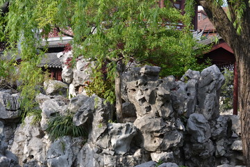 The wall of old stone surrounded by green vegetation. Beautiful natural landscape.