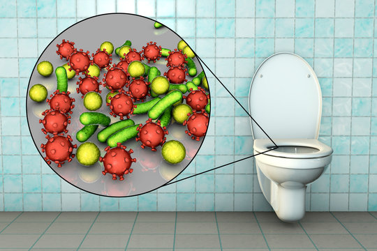 Toilet microbes, conceptual 3D illustration. Transmission of diarrheal infections. Closeup view of bacteria transmitted by fecal-oral mechanism, such as Escherichia coli, Salmonella, Shigella and