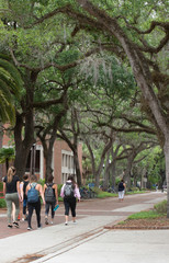 Students at the University of Florida walk through campus on a hot afternoon.