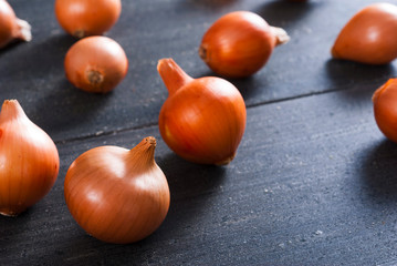 red onions on black wood table background