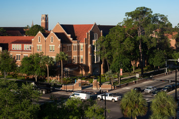 A distant view of The University of Florida in the morning