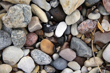 Pebble and shells on the beach