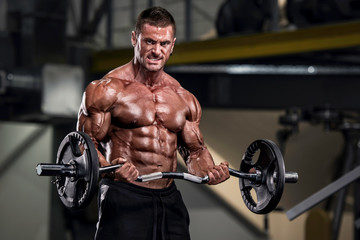Body Building Workout at the Gym. Handsome Bodybuilder Working out in the gym