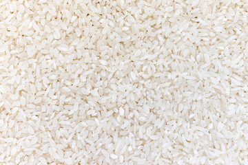 Fresh raw organic risotto rice texture background