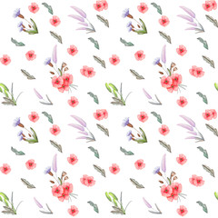 Watercolor seamless pattern with wildflowers