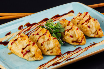 Group of delicious Japanese vegetable gyosas on a plate