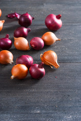 spanish and red onions on black wooden table