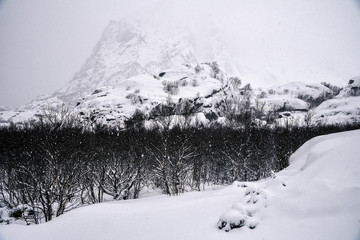 Obraz premium Mountains in Winter in Lofoten Archipelago in the Arctic Circle in Norway