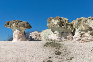 Fototapeta na wymiar Rock formation The Stone Mushrooms near Beli plast village, Kardzhali Region, Bulgaria