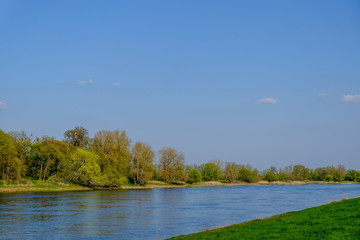 Fototapeta premium River elbe with blue sky trees and grass
