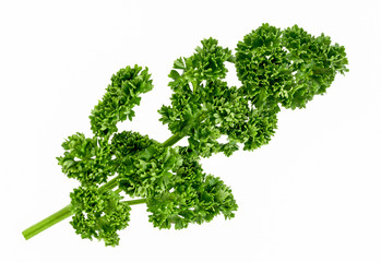 Obraz premium Parsley isolated on white background