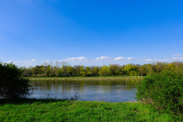 Fototapeta na wymiar River elbe with blue sky trees and grass