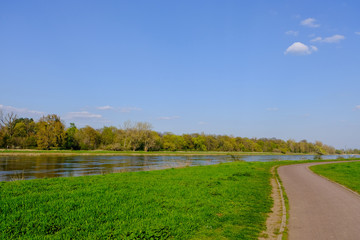 River elbe with blue sky trees and grass