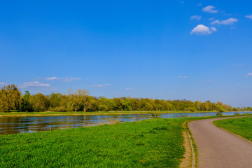 Fototapeta na wymiar River elbe with blue sky trees and grass