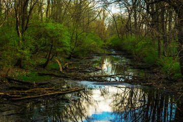 Photo from Wedgewood Park in Fairborn, Oh