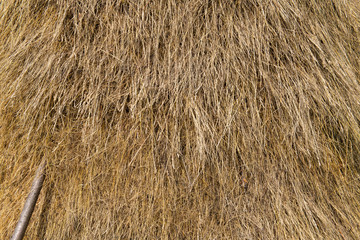 Dry Hay Straw Texture