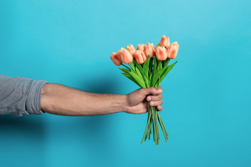 Closeup  man's hand  straigth with  a tulips bouquet  against a blue studio background .- Image