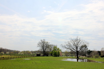 In the park on this spring afternoon.