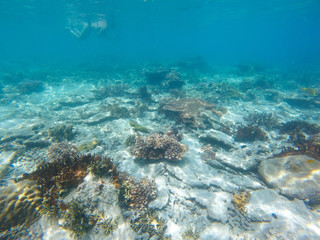 Fototapeta na wymiar Bleaching Coral Reef of the Perhentian Islands, Malaysia, 2018.