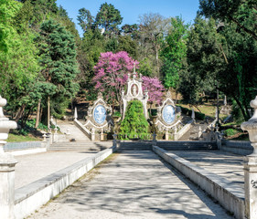 Coimbra city gardens - Portugal