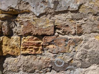 old shellfish brick wall texture