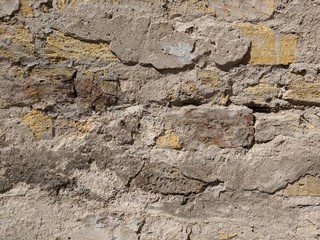 old shellfish brick wall texture