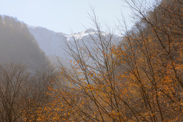 Panoramas of mountains of forests and lakes.Azerbaijan.Caucasus