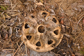 rusty detail in fallen leaves, detail of a wheel in the grass