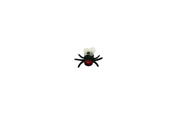 A black plastic fly with a red head with transparent white wings with six legs close-up isolated on a white background.