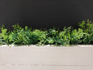 fake green plants decoration