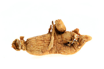 Ginseng on a white background