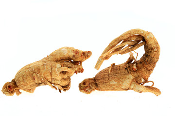 Ginseng on a white background