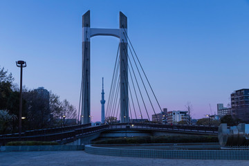 木場公園の夕暮れ