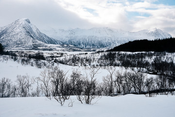 Obraz premium Austvagoya in Winter on Lofoten Archipelago in the Arctic Circle in Norway