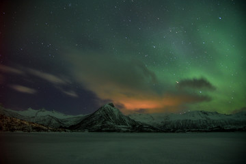 Northern Lights in Austvagoya in Winter on Lofoten Archipelago in the Arctic Circle in Norway © Alisha