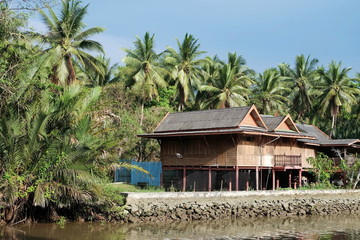 Wooden house beside river in Thai style is unique and suit for tropical country surrounding with coconut tree on sunshine day is popular for tourist to travel by sleep at local people home
