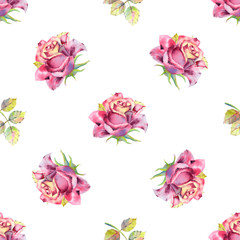 Seamless pattern. Dark rose flowers, green leaves. Flower poster, invitation. Watercolor compositions for greeting card or invitation design.