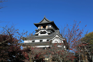 晩秋の犬山城
