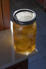 jar of  cut up lemons in water on a counter in a kitchen