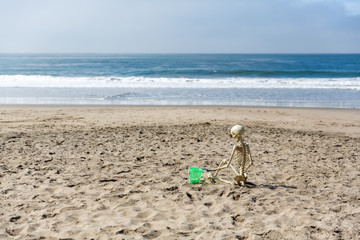 Skeleton sits on the beach playing in the sand with a bucket and shovel