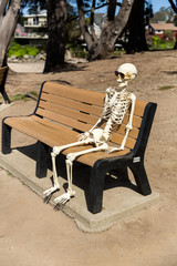 Skeleton sits on a bench at the beach watching the waves