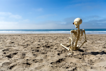 Skeleton sits on the beach watching the waves