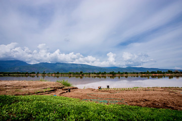 Growing vegetables along the river