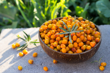 Natural organic ripe sea buckthorn berries in a wooden bowl on a stone in summer outdoors