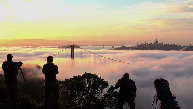 A Crowd of Photographers taking Pictures of the Foggy San Francisco Golden Gate Sunrise