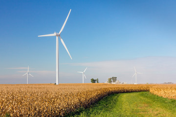 Large windmills or wind turbines spin to generate energy over a cornfield in the American Midwest...